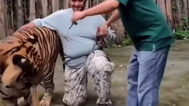 επίθεση selfie