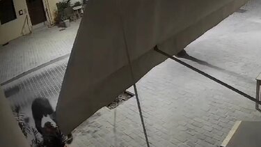 Κλοπή γλάστρας