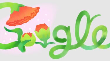 google doodle