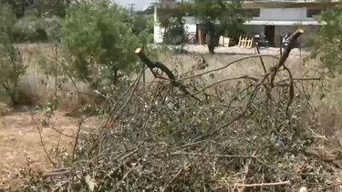 ακαθαριστα οικοπεδα