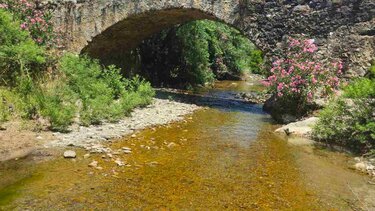 Αμαριανός Ποταμός