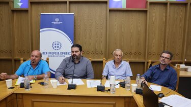 Κρητικός αμπελώνας, Σύσκεψη