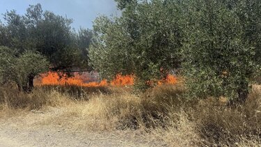 Φωτιά, Χάρακας