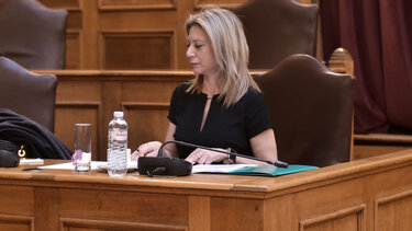 Καρυστιανού Βουλή