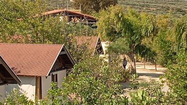 κατασκήνωση