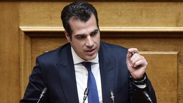 Πλεύρης για τους 247 παράνομους μετανάστες: «Σε καθεστώς εγκλεισμού μέχρι την επιστροφή τους»