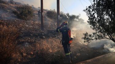 Ιεράπετρα Φωτιά