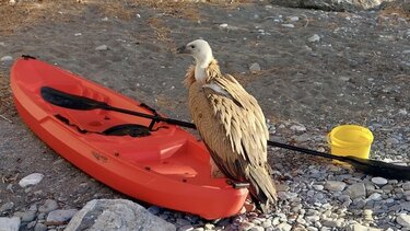 Αστερούσιος