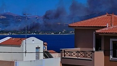 Φωτιά Αλιβέρι: «Έγλειψε» σπίτια - Καλύτερη η εικόνα