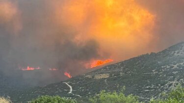 Φωτιά πυρκαγια κύπρος