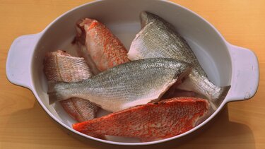 Ψάρια, Διατροφή