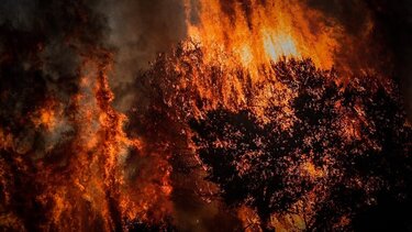 φωτιά πυρκαγια