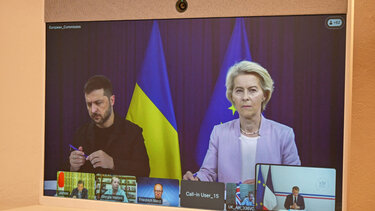 Ζελενκσι-ουρσουλα