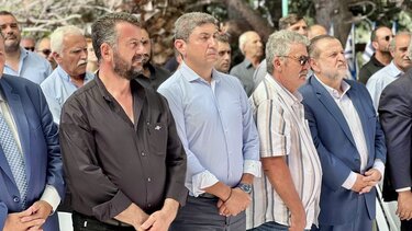 Λευτέρης Αυγενάκης, Σοκαράς