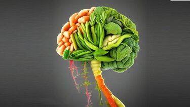 μυαλό-διατροφή