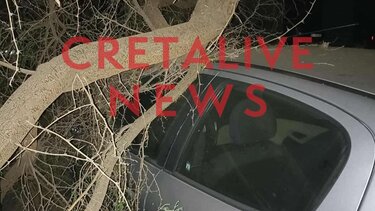 Ηράκλειο: Εικόνες από την πτώση μεγάλου κλαδιού πάνω σε αυτοκίνητα