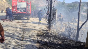 Φωτιά, Άγιος Βλάσσης