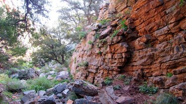 Φαράγγι Σκοτεινής