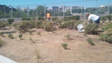 Πράσινο σχολεία Ηρακλειο