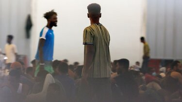 metanastes aguia xania