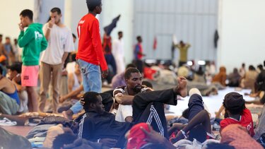 metanastes aguia xania.a.