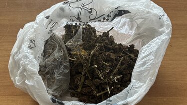 Ναρκωτικά, Κάνναβη