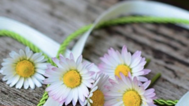 Εθελοντική Αιμοδοσία