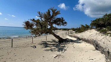 Νήσος Χρυσή