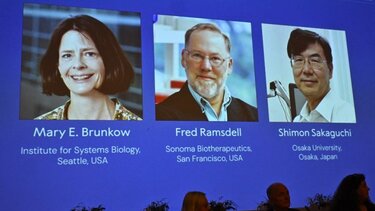 βραβείο νόμπελ