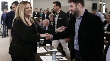 Ανδρουλάκης Φώφη Γεννηματά