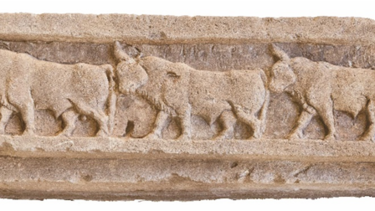 Έκθεση, Εκατόμπολις