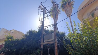 fotia_stylossplantzia3