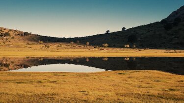 ΙΤΕ, Διεθνής Ημέρα Τοπίου