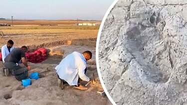 ευρήματα Μεσοποταμία