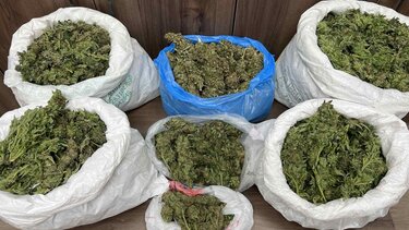 Κάνναβη, Αμάρι