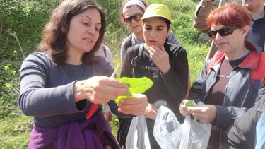Ντοκιμαντέρ, Χόρτα