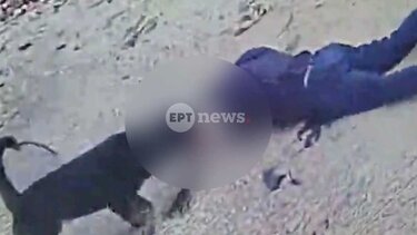 Καλαμάτα: Η στιγμή της επίθεσης του ροτβάιλερ στον ιδιοκτήτη του – Είπε ο ίδιος στον αστυνομικό να πυροβολήσει