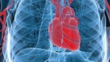 Η βελτίωση της καρδιακής υγείας των νέων ενηλίκων μειώνει τον κίνδυνο μετέπειτα καρδιαγγειακών παθήσεων