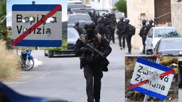 Βορίζια Ζωνιανά