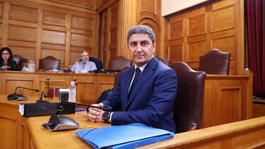 Αυγενάκης Λευτέρης, Εξεταστική Επιτροπή