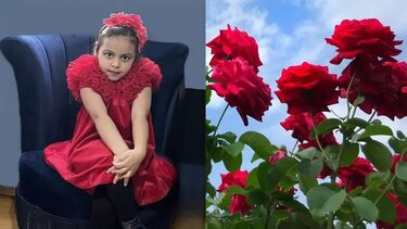 Μαρία Έλενα Βλαχάκη