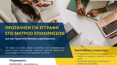 Μητρώο Επιχειρήσεων, Επιμελητήριο 