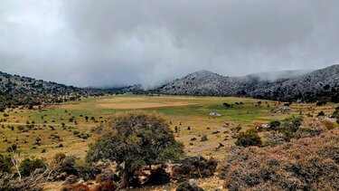 Ορειβατικός Σύλλογος Αγίου Νικολάου, Ομαλός Βιάννου