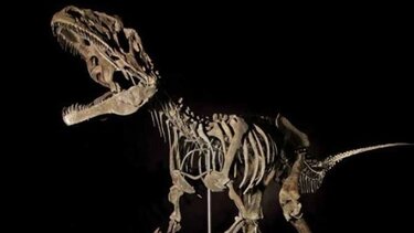 Δεινόσαυρος