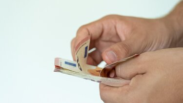 Χρήματα, Εισόδημα