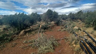 ανεμοστρόβιλος
