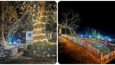 Απόστολοι, Χριστουγεννιάτικη Δράση