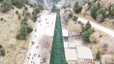 Φαράγγι Σαμαριάς: Γιορτινός «καβγάς» κάτω από το δέντρο