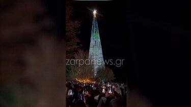 Φωταγωγήθηκε ένα από τα μεγαλύτερα δέντρα της Ελλάδας στον Ομαλό – Tο ύψος του ξεπερνά 40 μέτρα