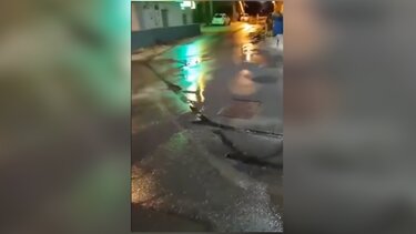 Πατέλες, Διαρροή